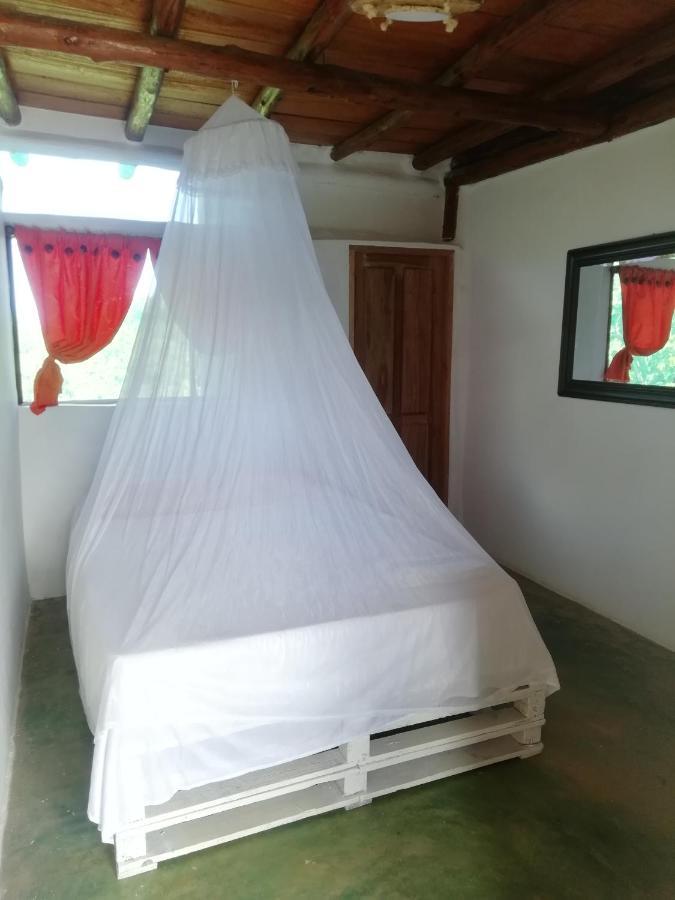 Moon Wind Tayrona Hostel 엘 자이노 외부 사진